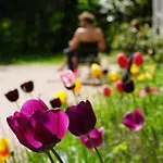 Hotel Seegut Blaue Blume *