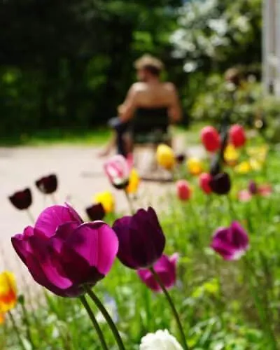 Hotel Seegut Blaue Blume *