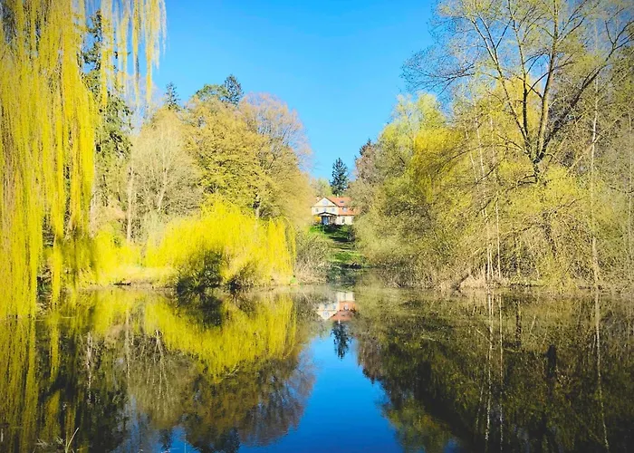 Hotel Seegut Blaue Blume *